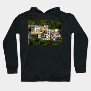 View on the cliff town of Manarola, one of the colorful Cinque Terre on the Italian west coast Hoodie